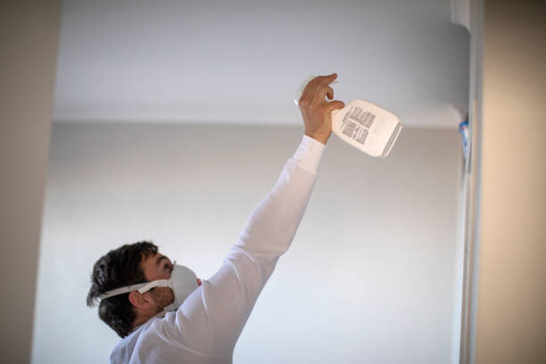 Best Commercial Mold Removal  in Seabrook, SC