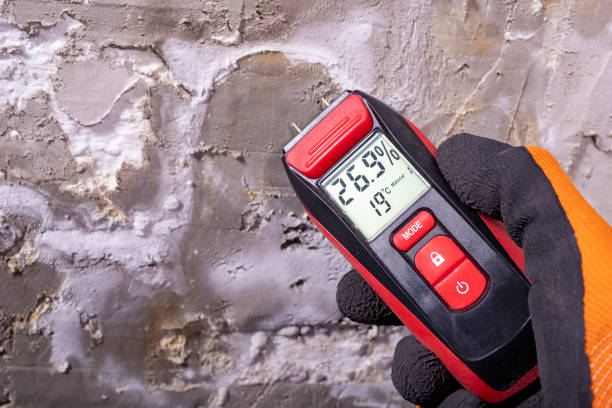 Best Emergency Mold Removal  in Seabrook, SC