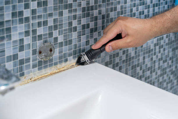 Mold Testing and Removal in Seabrook, SC