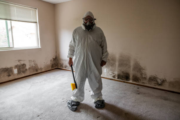 Best Certified Mold Removal  in Seabrook, SC
